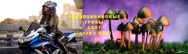 не бодяженный Абаза